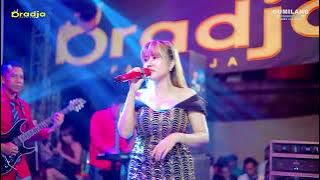 Download lagu D'RADJA CERTAINLY - 14 DAYS STAR - AVIS NICKI - IMAM & DIAN WEDDING - LEBAK PAKISAJI JEPARA