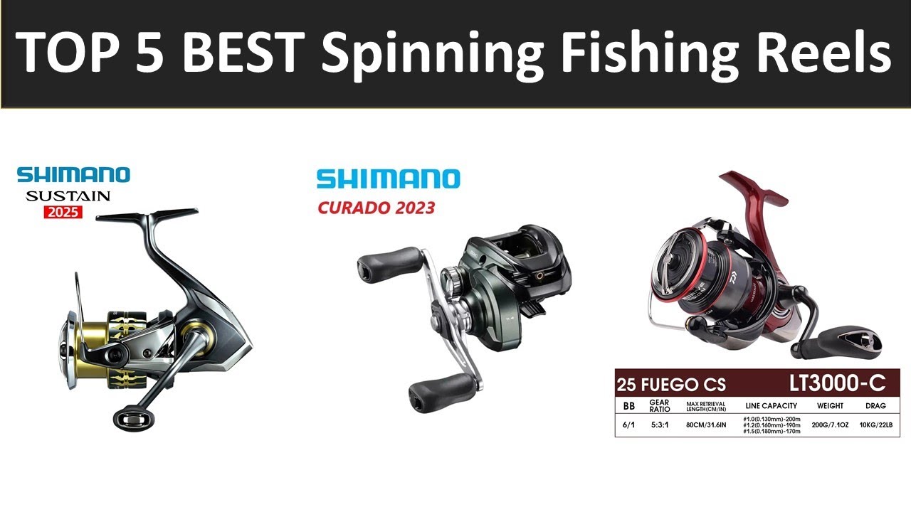 TOP 5 BEST Spinning Fishing Reels 2026