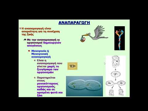 Βίντεο: Πώς αναπαράγονται οι κυτταρικοί οργανισμοί;
