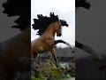 #schleich #horse #pictures 😱🤩#modelhorse #art #photography #explore #fy #epic #schleichpferde #fyp