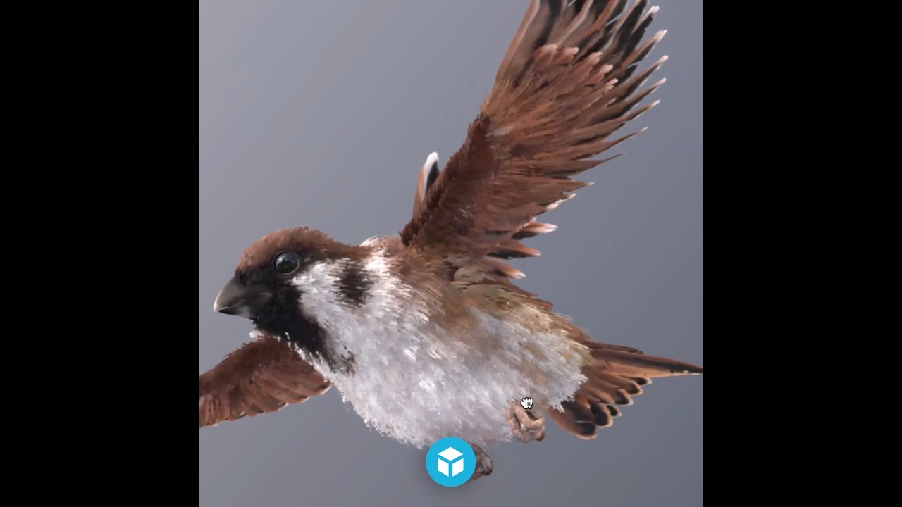 Sketchfab Weekly Top 10 3D models 2022 Week 4