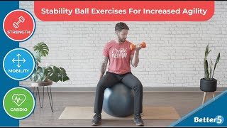 Stability Ball Exercises For Increased Agility Preview