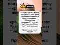 31 августа 2025 г.