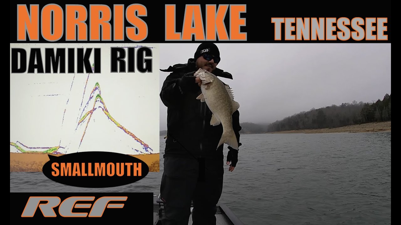 NORRIS LAKE: Damiki Rig Fishing DEEP  Winter Bass