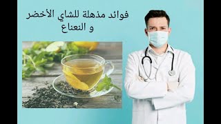 تعرفوا على الفوائد الرائعة للشاي الأخضر و النعناع خاصة في إنقاص الوزن و تنشيط الذاكرة