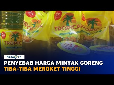 Harga CPO Capai Rekor Tertinggi Rp15 ribukg