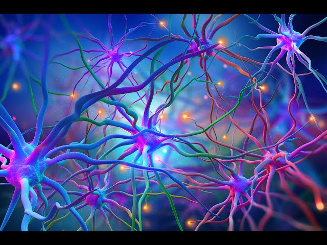 Pathophysiology Neurology