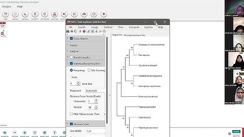 Praktikum Bioinformatika | Objek 6 (Analisis Filogenetik - Clustall X, Bioedit, MEGA) | Kelompok 2A