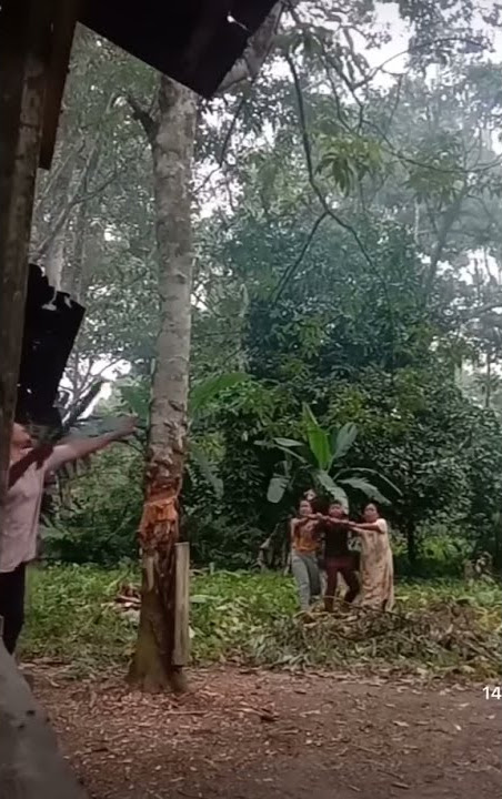 entah siapa yang salah ❓ emak emak tebang pohon ‼️#ngakak #emakemak #entahsiapayangsalah #shorts