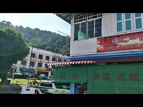 Red Leaf Cafe Limbang  KOLO MEE YouTube