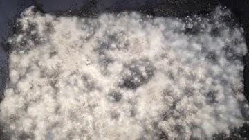 Follow up on charging Biochar with IMO3 Growvana soil inoculant with beneficial bacteria