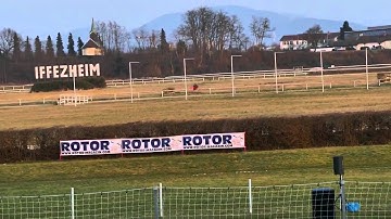 Marius Müller - Mikado Logo 700 - Rotor Live Finale 2015