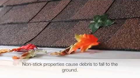 Gutter Logic Gutter Protection