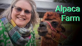 Out & About: Alpaca Farm & Fiber Demonstration at DJ's Classic Alpacas