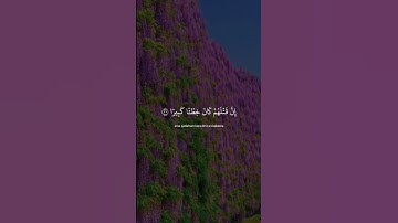 تلاوة عطرة للمقريء ياسر الدوسري من سورة الاسراء