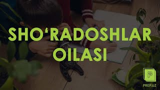 Biologiya - Sho'radoshlar oilasi // PREP.UZ