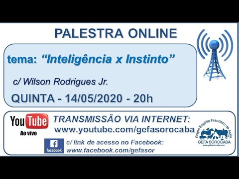 Assista: Palestra online - c/ WILSON RODRIGUES JR (14/05/2020)
