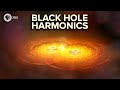 Black Hole Harmonics