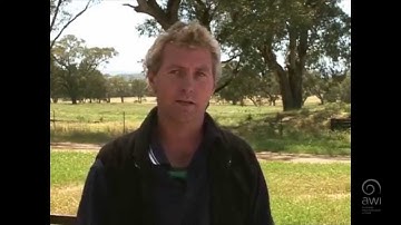 AWI Wool Handling - Wool Preparation -  Point of View - Teamwork