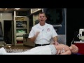 Pulseless Arrest: Pulseless Electrical Activity Teaching (ACLS Algorithms)