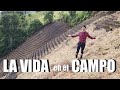 LA VIDA EN EL CAMPO