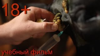 Удаление бородавок у тёлки. 18+ Surgical removal of papillomas(ТОЛЬКО ДЛЯ СПЕЦИАЛИСТОВ!!! ОСТОРОЖНО !!! ПЕРЕД ТЕМ КАК СМОТРЕТЬ ВИДЕО ПРОЧИТАЙТЕ ПРЕДУПРЕЖДЕНИЕ!!!. Видео..., 2016-07-07T16:59:52.000Z)