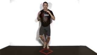 Celebrity Footwork: V-Step (boxing, kickboxing, Kali, mma) Profile