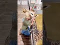 Giraffe Gets a Chiropractic Adjustment 🦒 #baby #twins #funny #cutebaby #funnybaby #cute