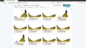 IBM Capstone Project Keras CNN Classify Images