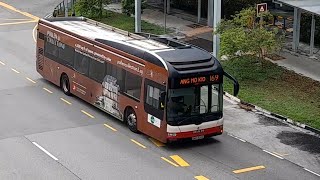 (Pollen Collection II Full Body Advertisement) SMB1338E On Service 965 At Yishun Avenue 2 (Pollen Collection II Full Body Advertisement) SMB1338E On Service 965 At Yishun Avenue 2