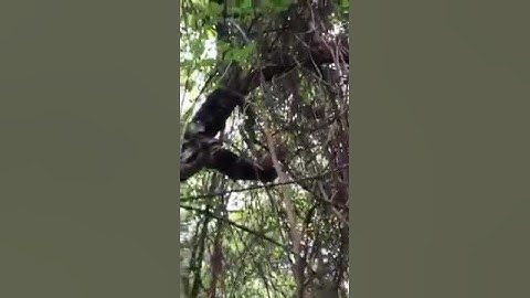 Test ESurvey E300 Pro IMU