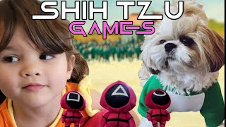 Shih Tzu Playing SQUID GAME in Real Life by Mikki Shih Tzu 3,465 views 2 years ago 5 minutes, 19 seconds