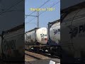 Passage d’un BR 186 livrée DB + wagons bâches
