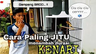 Cara menambah DURASI kenari dan Volume kenari menjadi keras lantang gacor Ala Mas Danang