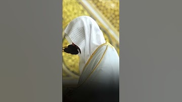 ما تيسر من سورة القصص | تلاوة فضيلة الشيخ د.#عبدالمحسن_القاسم