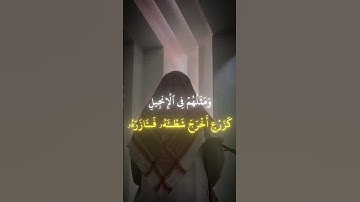 محمد رسول الله # سوره الفتح