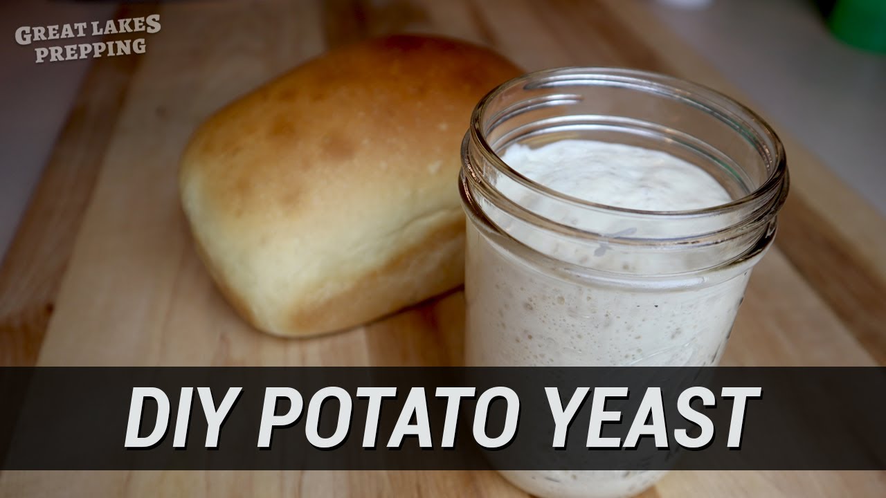 How to Make Yeast From Scratch (DIY) with a Potato