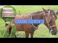 DOMANDO ÉGUA PARA CHARRETE ( Episódio 1 )