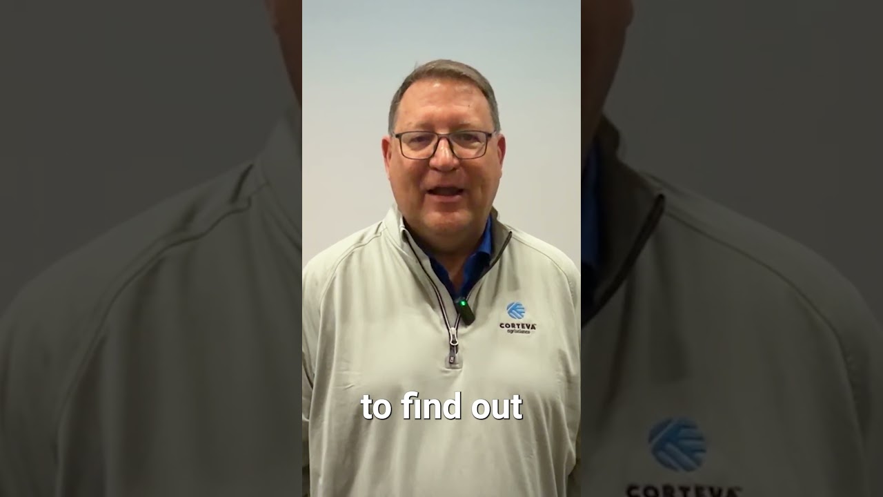 Early Field Scouting Can Help Manage Weed Pressure