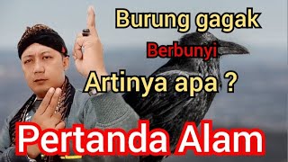 PERTANDA ALAM dari BURUNG GAGAK ‼️ANTISIPASI