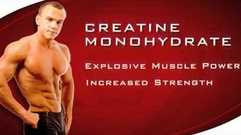 How Does Creatine Work - Find Out Now