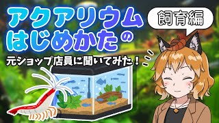 【ゆっくり解説】「アクアリウムの始め方」 ～飼育編～ 元熱帯魚ショップ店員さんに聞いてみた！（後編）