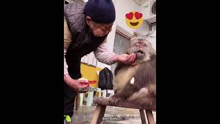 ¿Alguna vez has visto una historia tan conmovedora #pet #funny #shorts