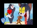 Tom  jerry  in the mood for love  classic cartoon compilation  wb kids