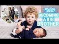 How to Prepare a Toddler for a New Baby - BECOMING A BIG BROTHER / SISTER!