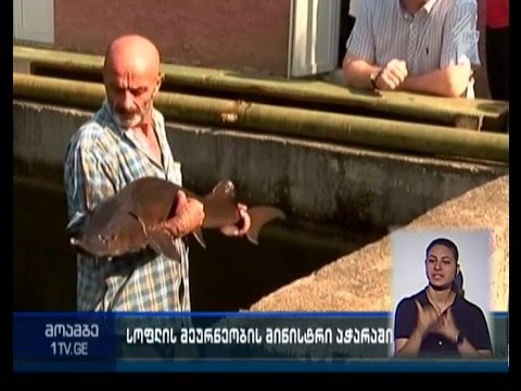 დანელიამ და ხაბაძემ ხელვაჩაურში ზუთხსაშენი საწარმო დაათვალიერეს