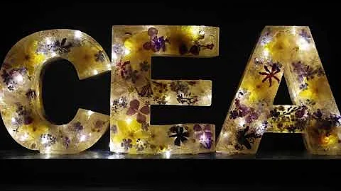 Carole Ellis Art Breast or Beast Exhibition