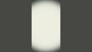 Bop is #funny