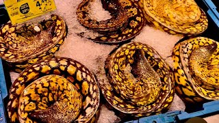 картинка: Охранник ЗАПРЕТИЛ мне снимать в продуктовом магазине,но когда я увидела на прилавке МУРЕНУ….. 