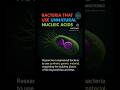 Bacteria use unnatural nucleic acids #scienceexplained #futuretech #shorts